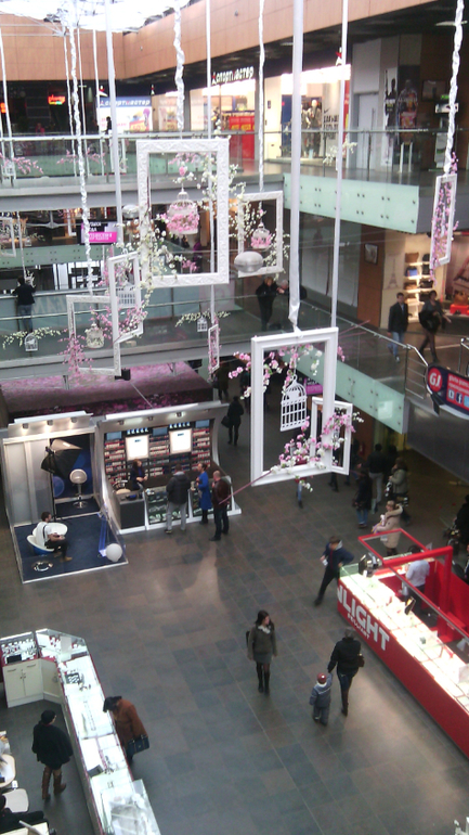 Торгушка цветет