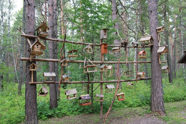 Томская Писаница! что соскучилась я по ней... (утомительный пост)