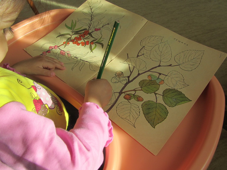 ТЗ "Деревья"