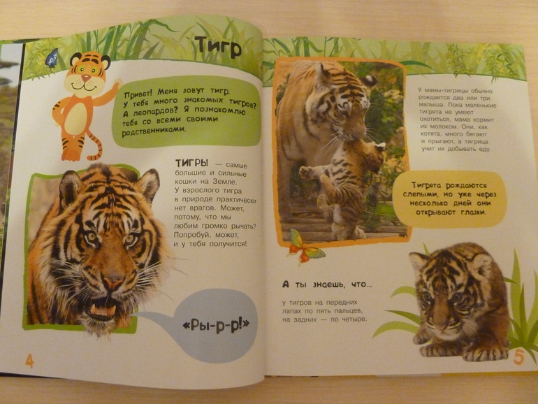 А началось все с курочки рябы;)