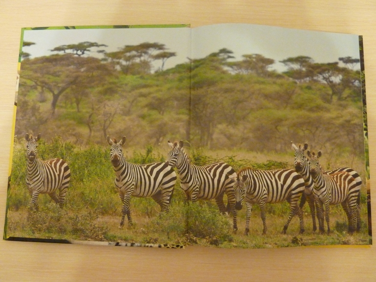 А началось все с курочки рябы;)