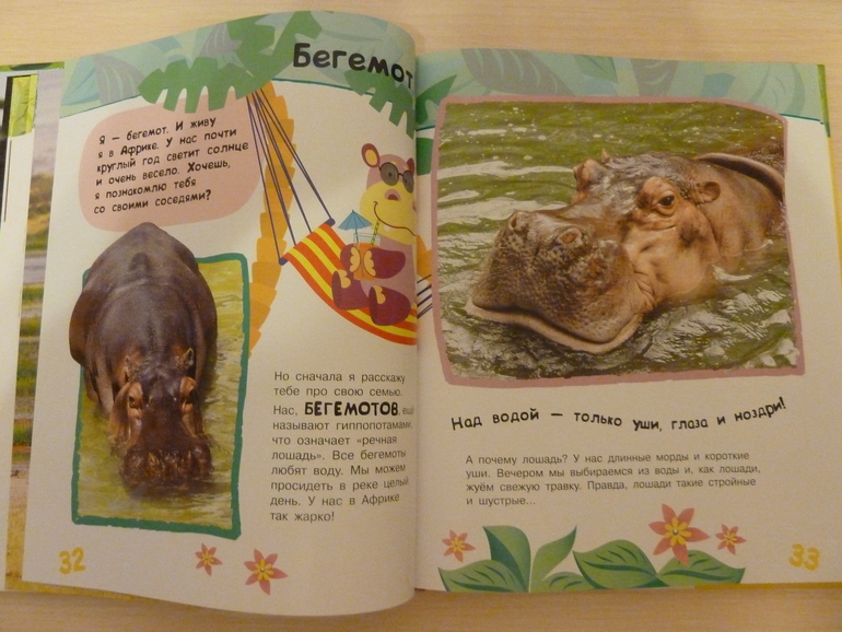 А началось все с курочки рябы;)