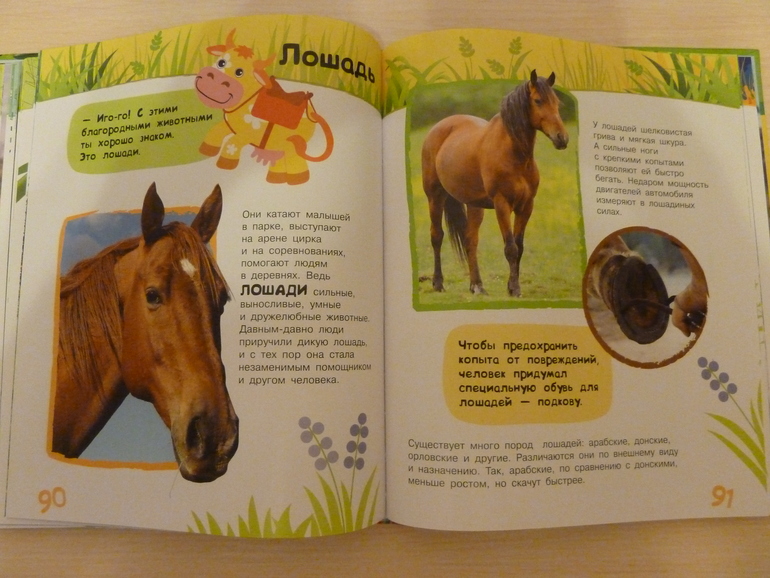 А началось все с курочки рябы;)