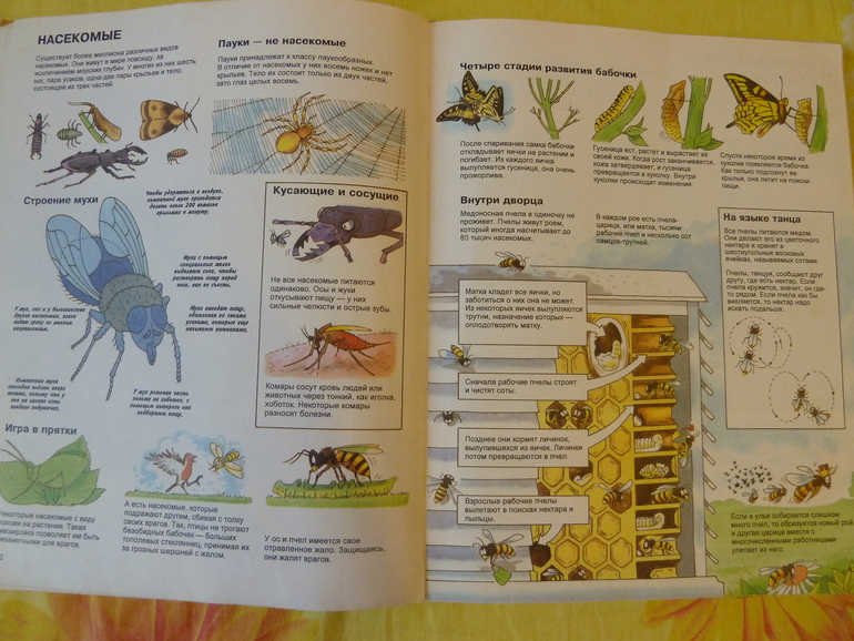 Назад в прошлое...