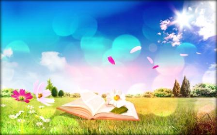 Книжная полка (мечты сбываются) часть-2.