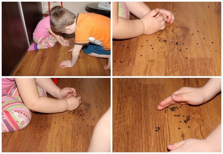 Звезды и кометы. День 1