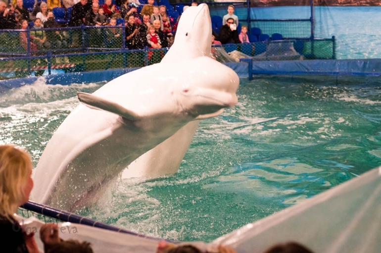 Морское в Екатеринбурге.