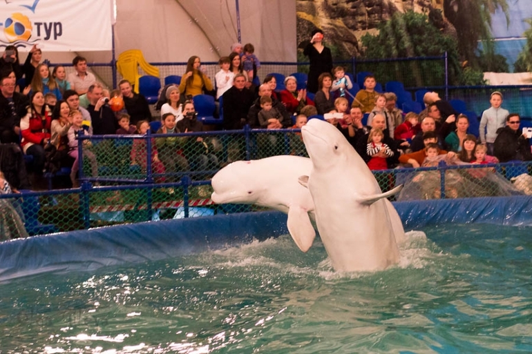 Морское в Екатеринбурге.