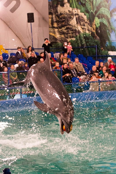 Морское в Екатеринбурге.