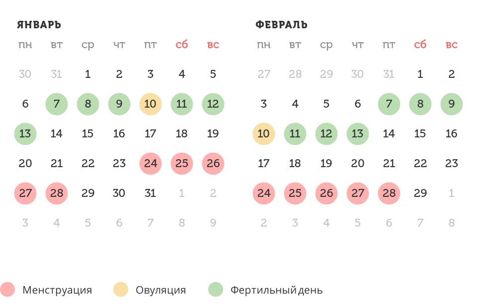 Калькулятор овуляции