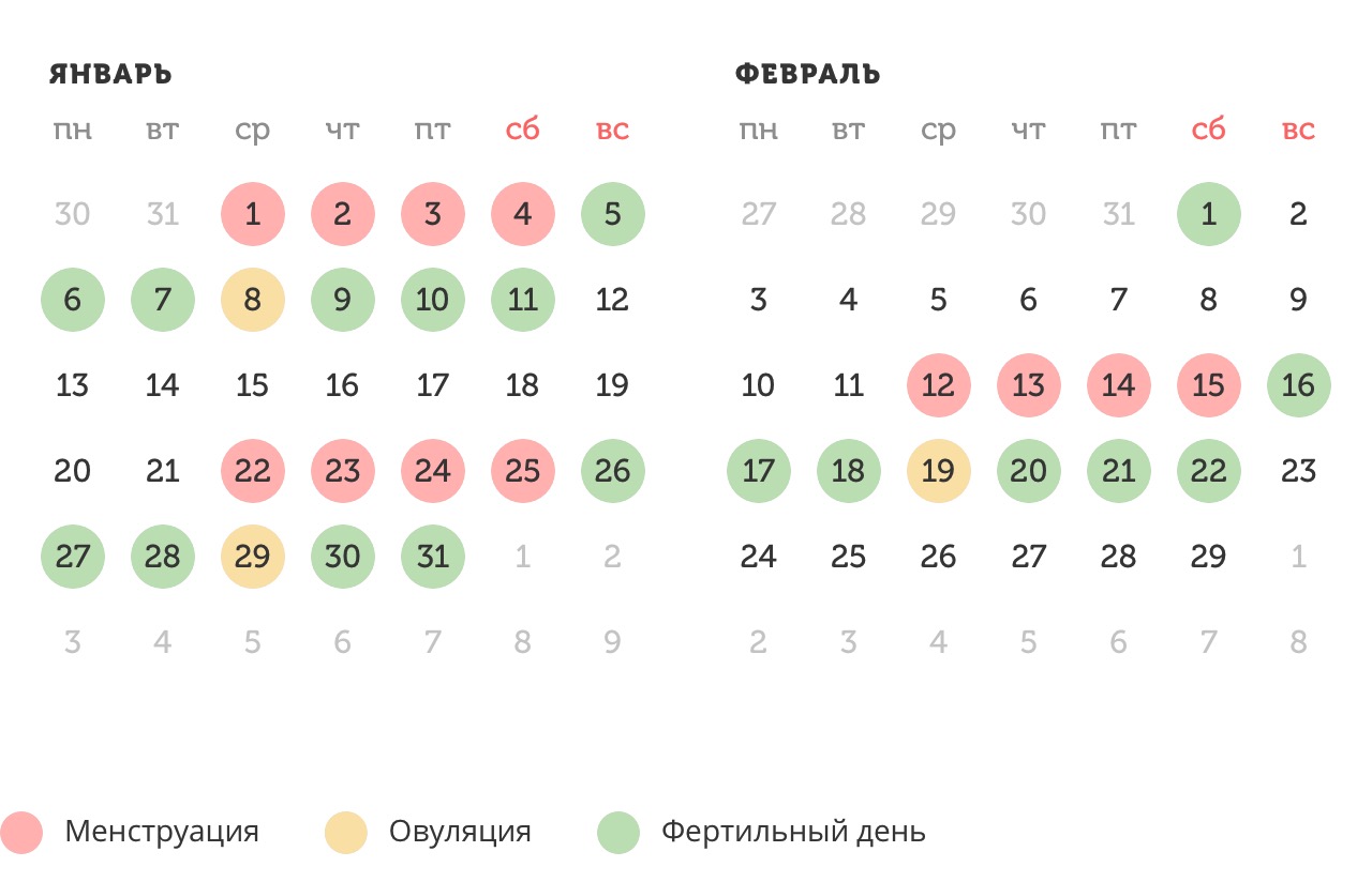 Калькулятор овуляции
