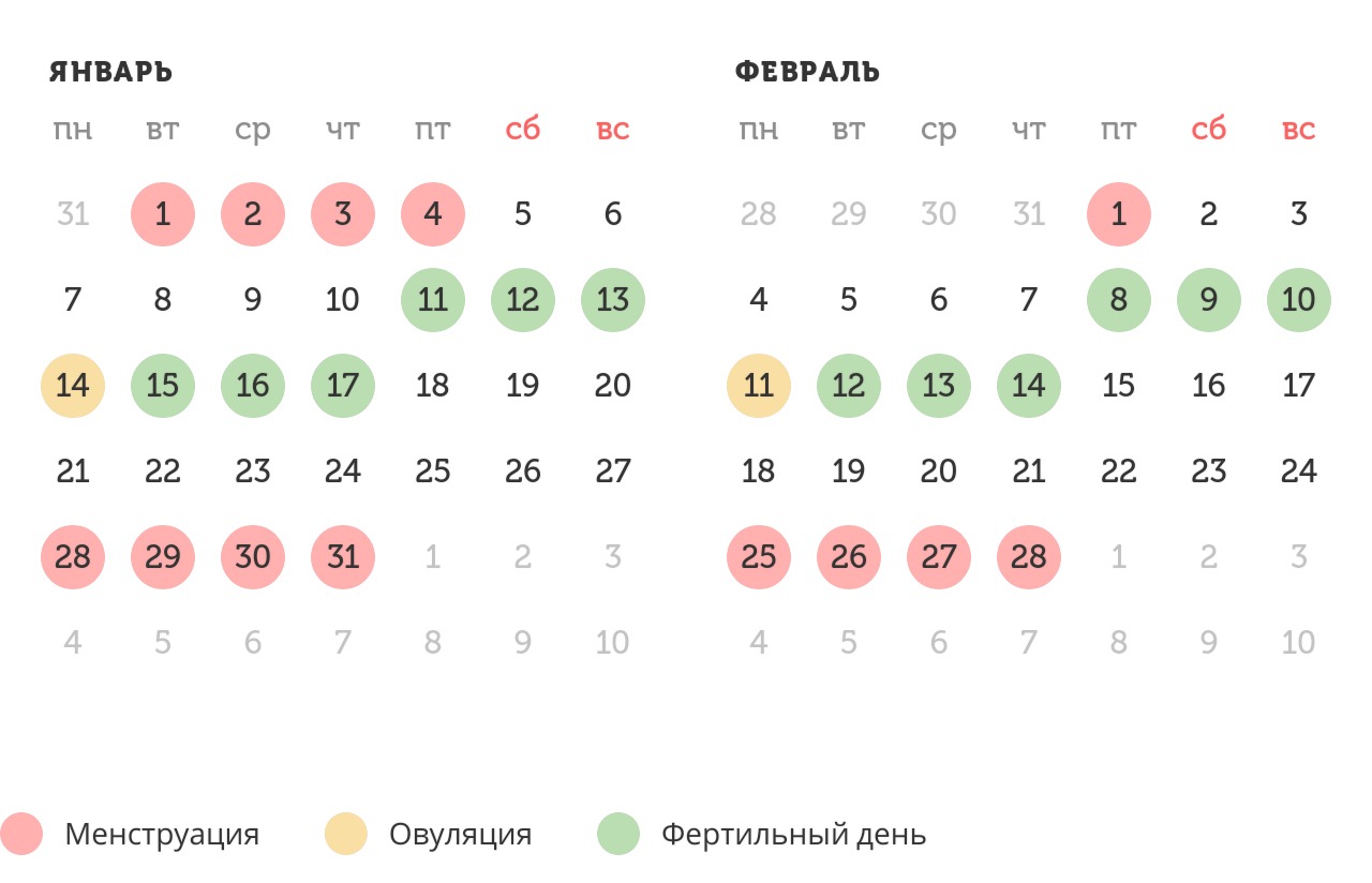 Калькулятор овуляции