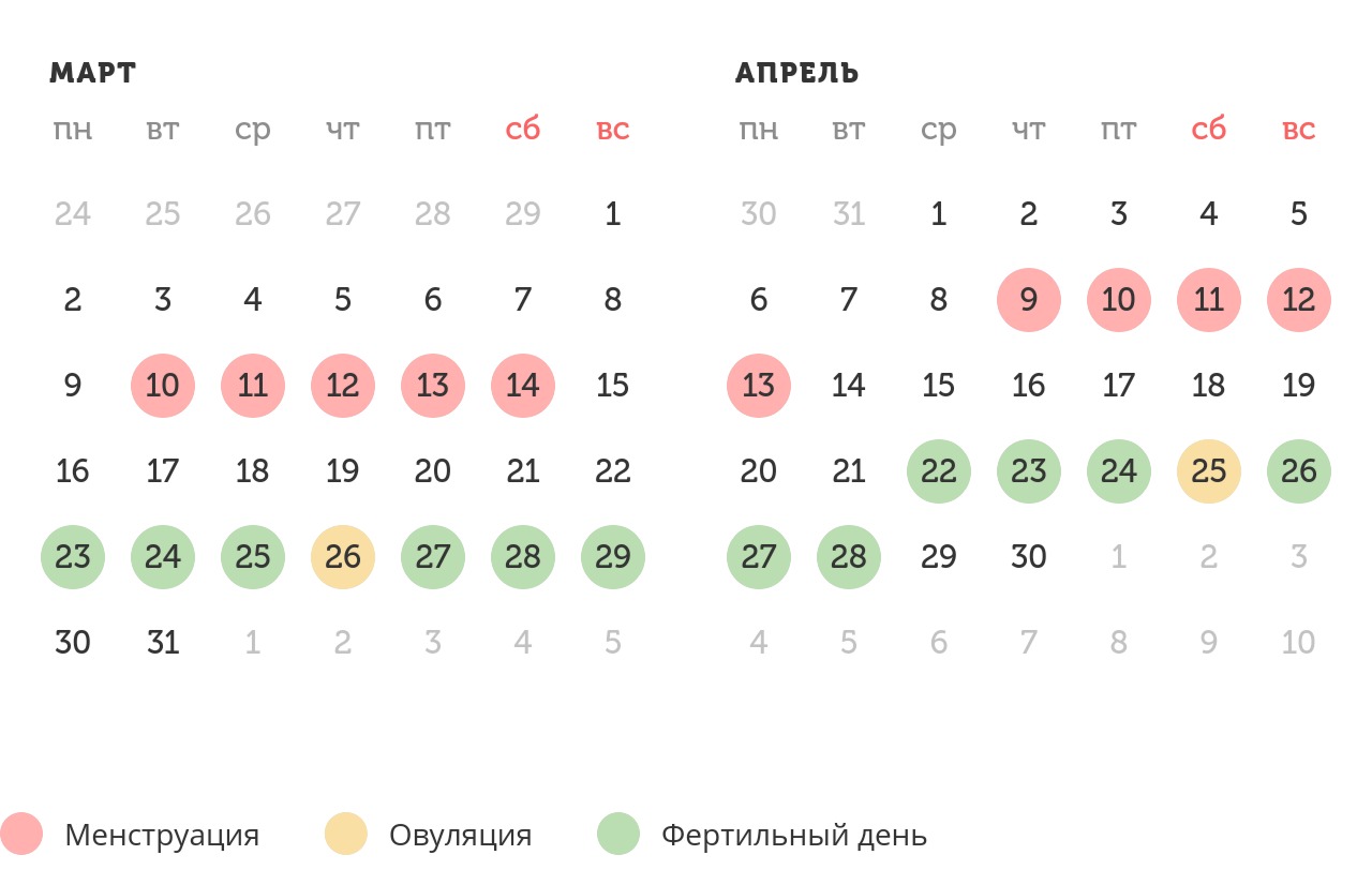 Калькулятор овуляции