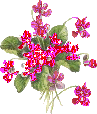 50a66d98f75a0791c1af33266c6c66d5.gif