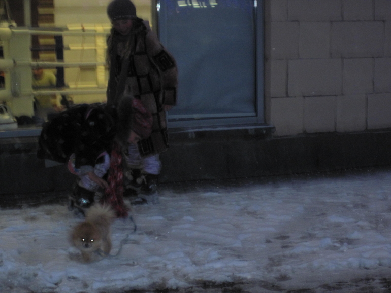 Запиши свое животное в спорт секцию!