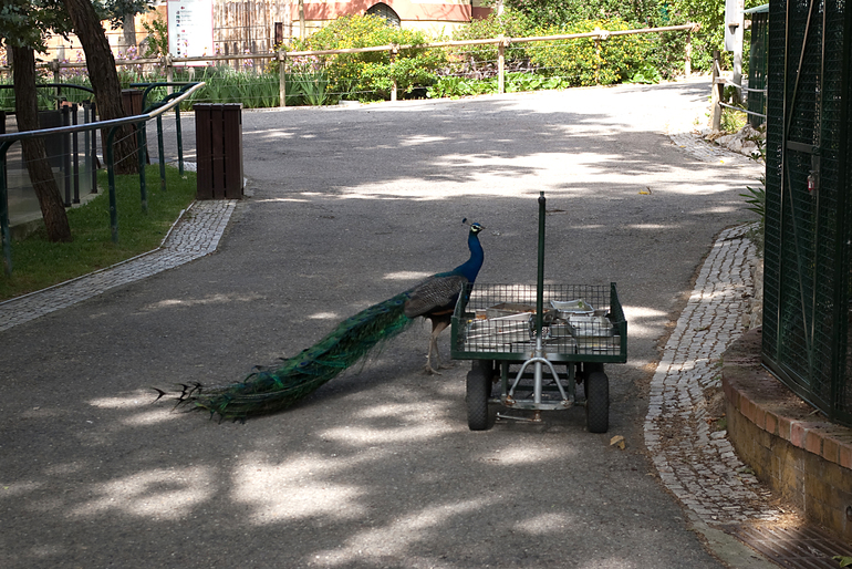 Португалия 2 часть