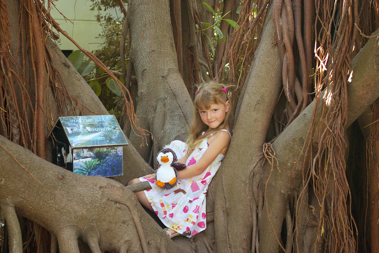 Турция, август-сентябрь 2013 г.