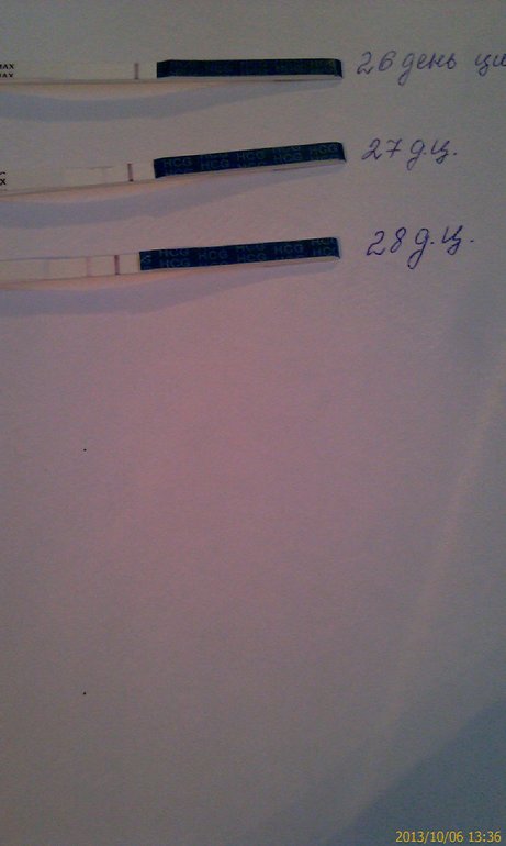 мои тесты в динамике