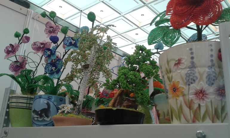 Как я сходила на