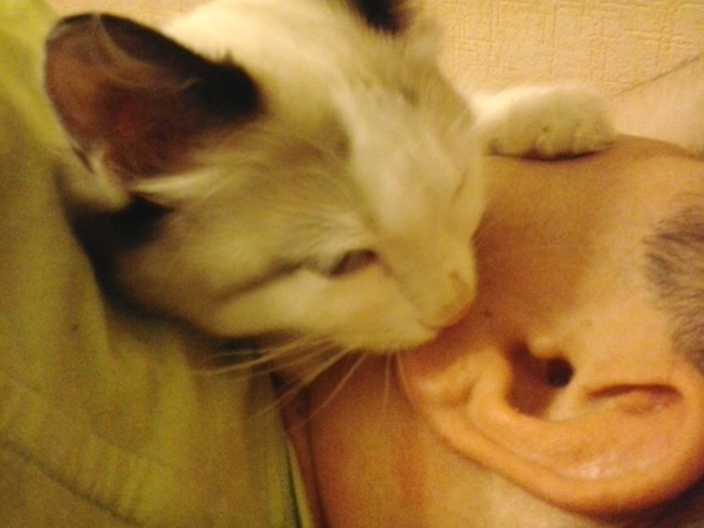 Про нашу любимку.