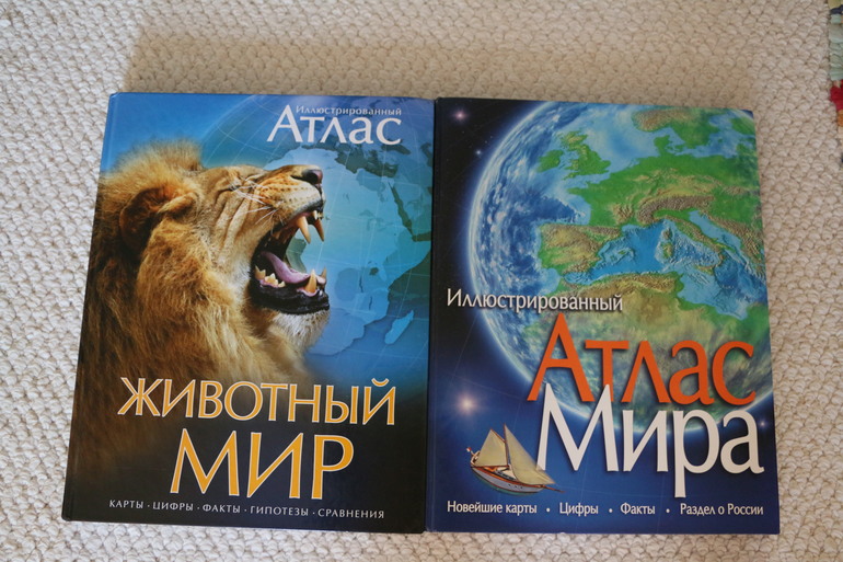 Наша география и мир животных