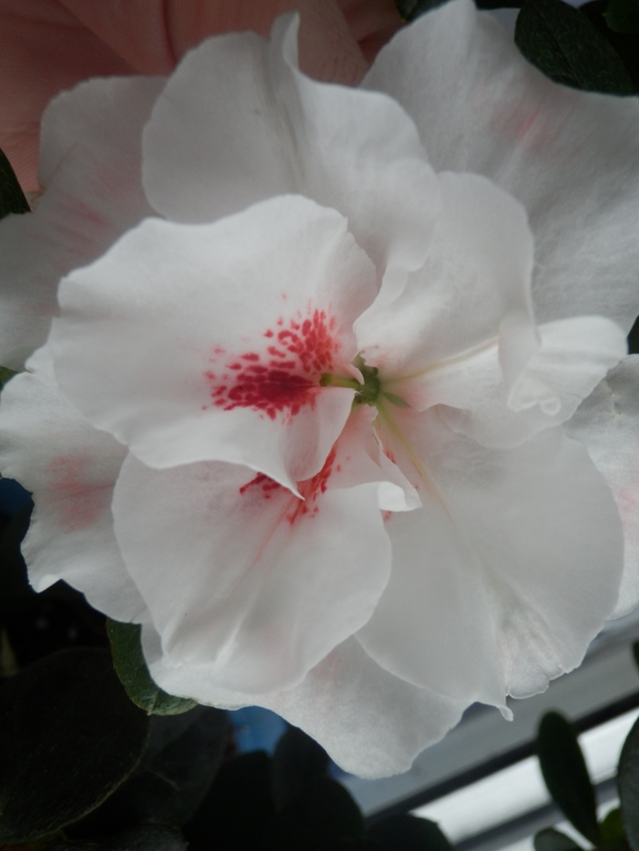 Немного осеннего.