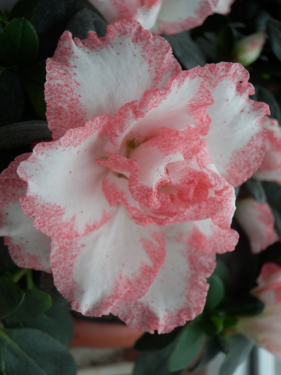 Немного осеннего.