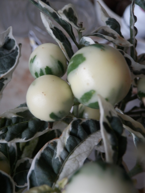 Итоги лета. Некоторые из моих любимчиков.