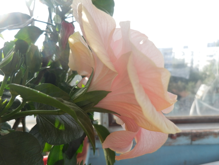 Итоги лета. Некоторые из моих любимчиков.