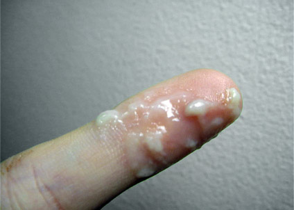 Интересная статья - Овуляция в картинках...