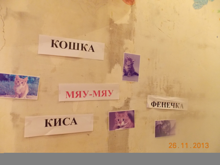 Наша первая Тематическая неделя "Домашние животные" (часть 1)