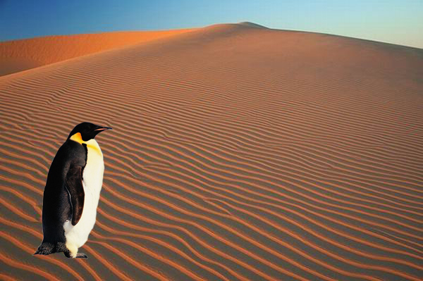 Контрольное задание №2. Вырезаем объект