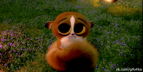 6a01cbc8f541e83c3831db0060c9b006.gif