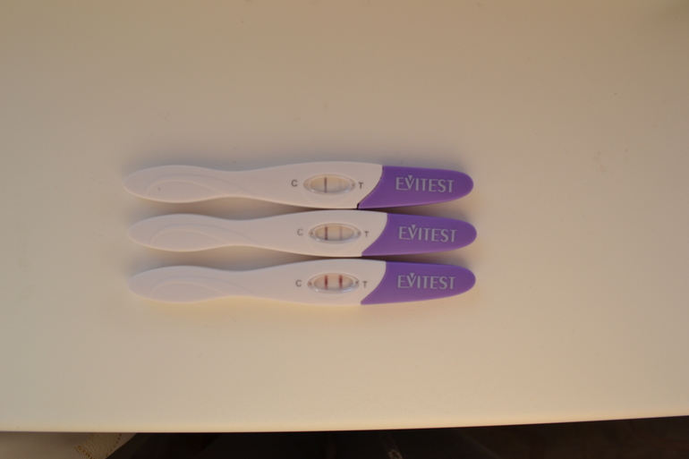 Мой последний ЧУДО-ПОЛОСАТИК!)