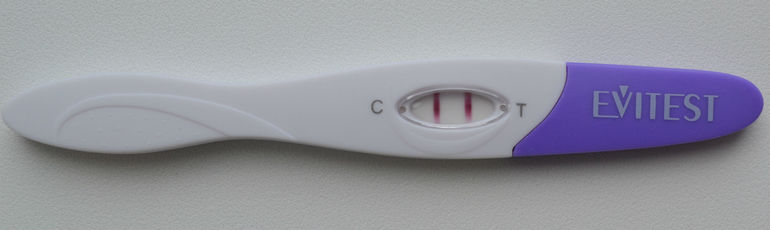 Мой последний ЧУДО-ПОЛОСАТИК!)