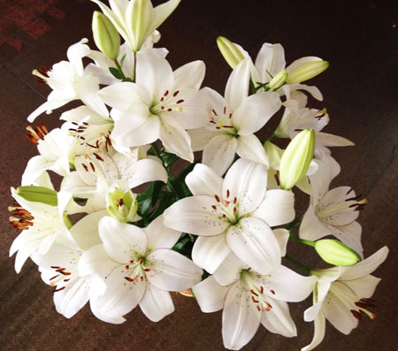 32-я неделька