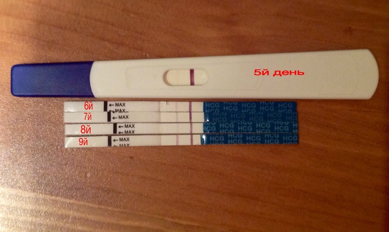 13 дпп пятидневок форум. 9 ДПП призрак призрака на тесте. 8 ДПП тест призрак. 4 ДПП тест. 9дпп тест на беременность.