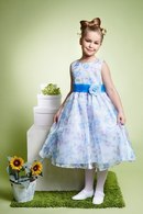 eaed1bdee53c87c28b243554496ca12a.jpg