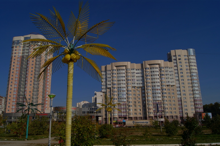 Контрольное задание № 7. "Корректируем фотографию при помощи кривых"