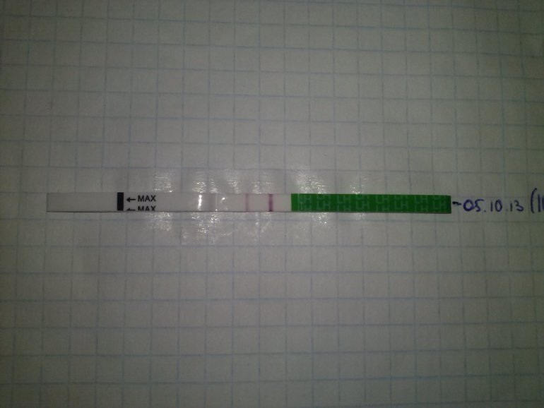 овуляшечка