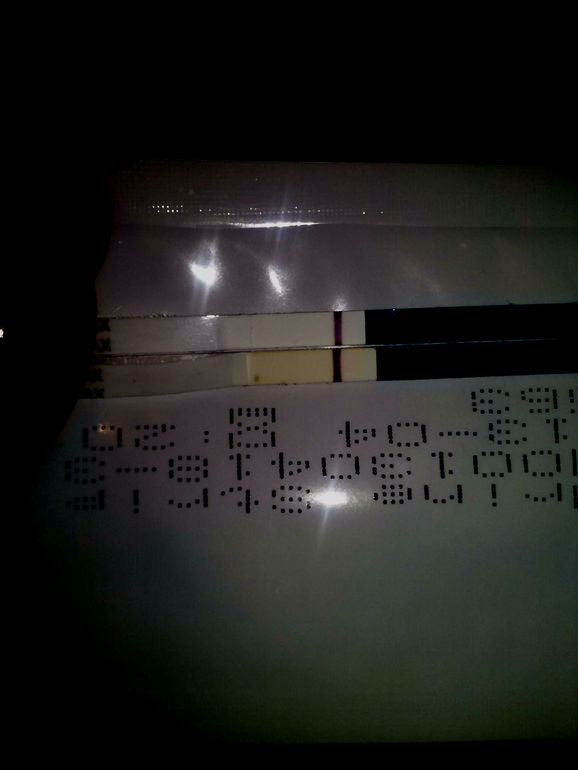 мои призраки