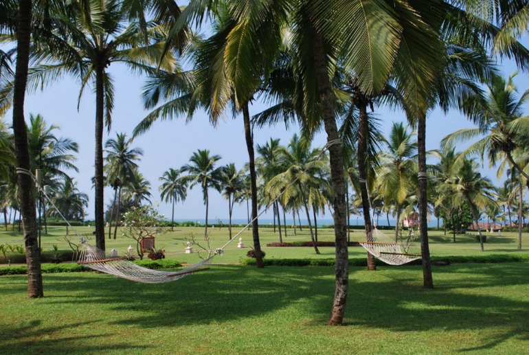 ИНДИЯ. Гоа. Lemon Tree 4*