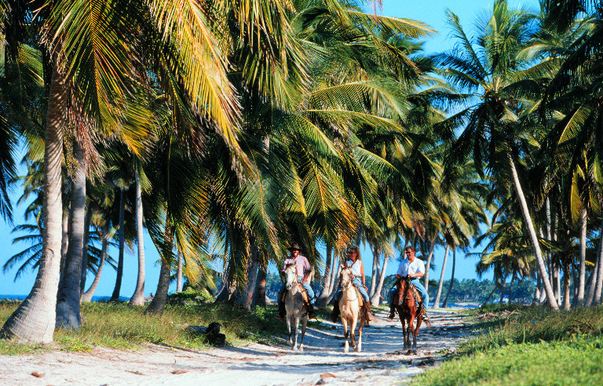 ДОМИНИКАНА. Пунта Кана. Natura Park Beach Eco Resort & Spa 5*