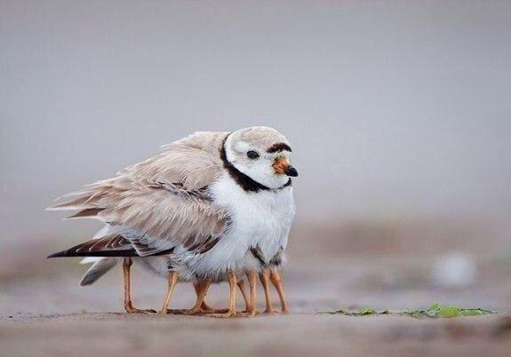 Не легка мамина доля...