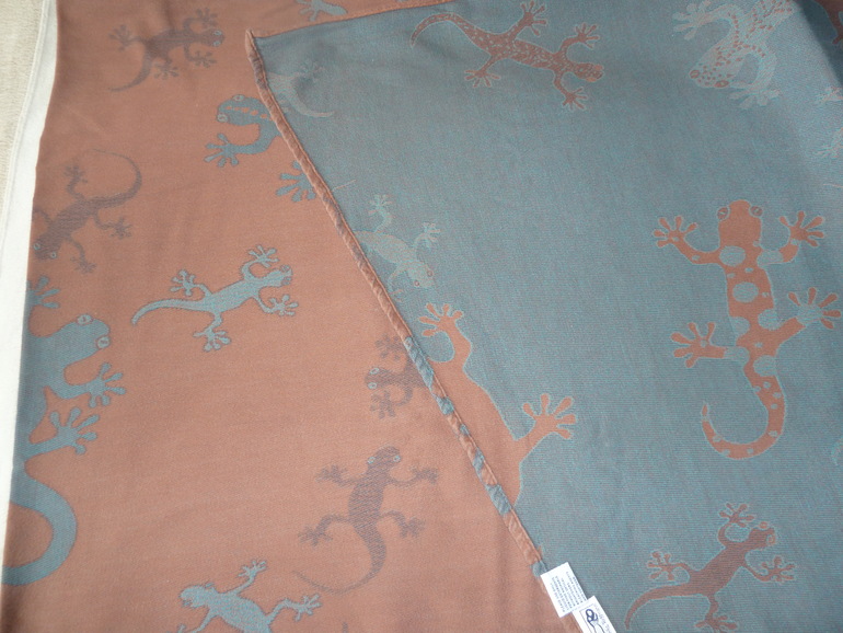 Дидимос Гекконы