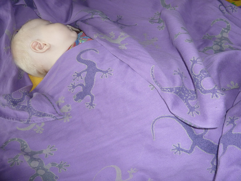 Дидимос Гекконы