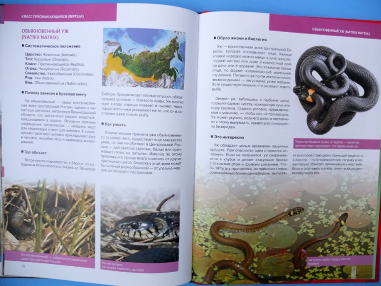 Итоги книжного ноября