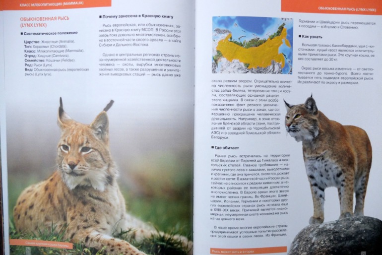 Итоги книжного ноября