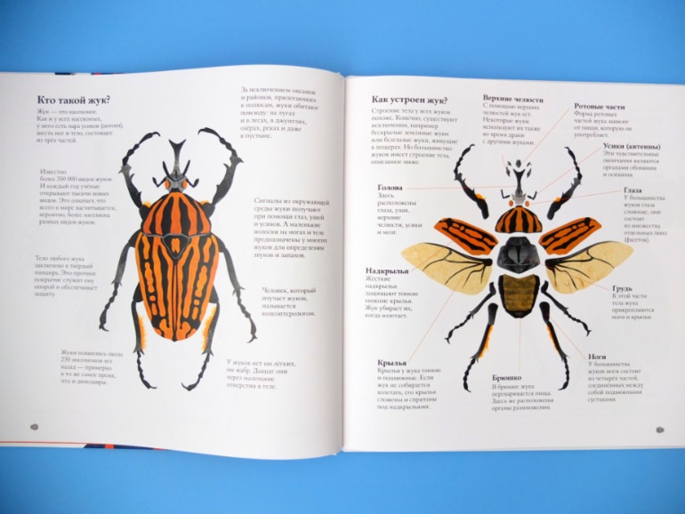 Лотерея № 23: ОТЧЕТ о подарках.
