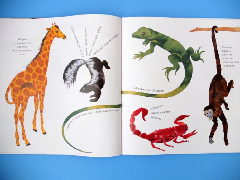 Лотерея № 23: ОТЧЕТ о подарках.